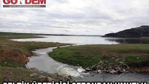 Meriç Nehri'nin suyu çeltik üreticisinin kuraklık endişesini ortadan kaldırdı