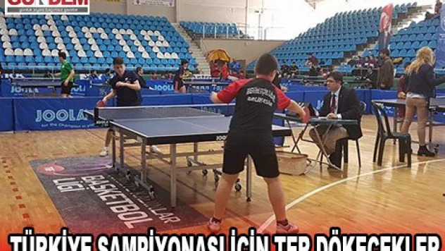 Türkiye Şampiyonası için ter dökecekler