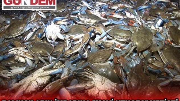 Denizde aradığını bulamayan Enezli balıkçıların imdadına 'mavi yengeç' yetişti