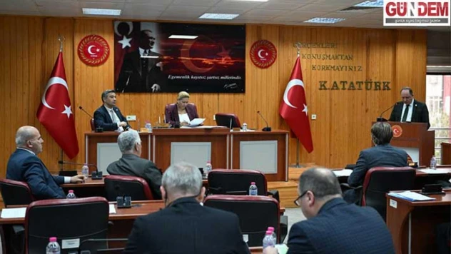 İl Genel Meclisi'nde AFAD'ın uluslararası afet projeleri masaya yatırıldı