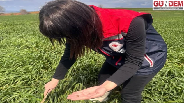 İpsala'da ilkbahar kışlak survey kontrolleri sürüyor