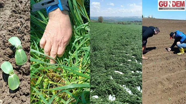 Keşan'da Don Riskine Karşı Tarım Alanları Gözden Geçirildi