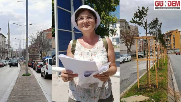 Kocasinan'daki ağaçlandırma gerçeği yansıtmıyor