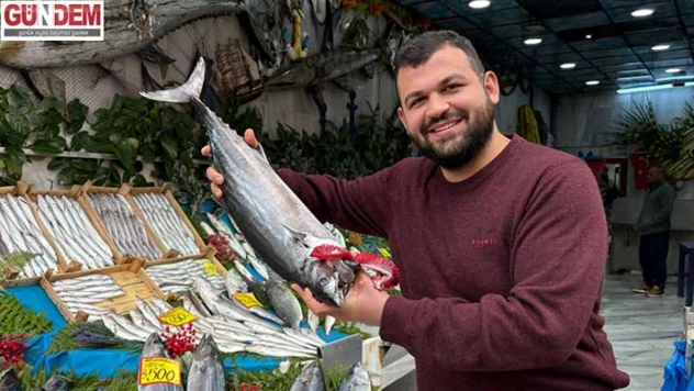 Marmara'da yıllar sonra torik bereketi yaşanıyor