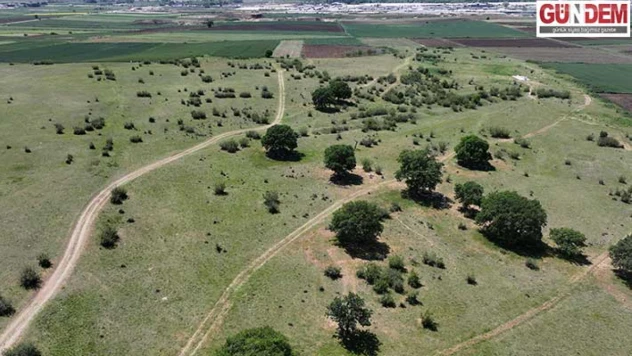 Meralara sulama sistemi geliyor