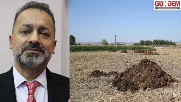 Organik gübreler toprağın su tutma kapasitesini artırıyor