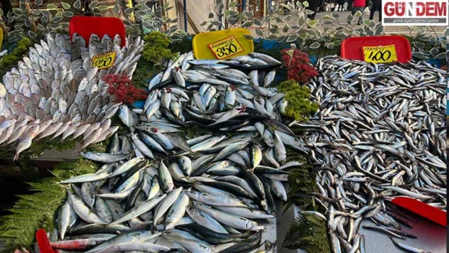 Sıcak hava balık bolluğunu azalttı