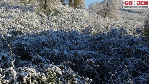 Soğuk hava dalgası Edirne'yi etkisi altına alacak