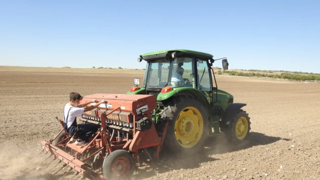 'Yağışlar ekili kanolaya can suyu oldu'