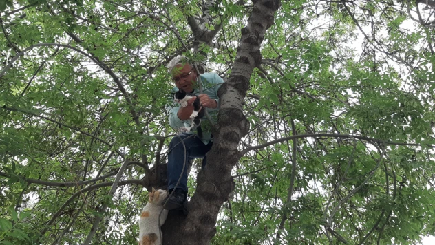 Yavru kedi mahsur kaldığı yerden duyarlı vatandaş sayesinde kurtuldu