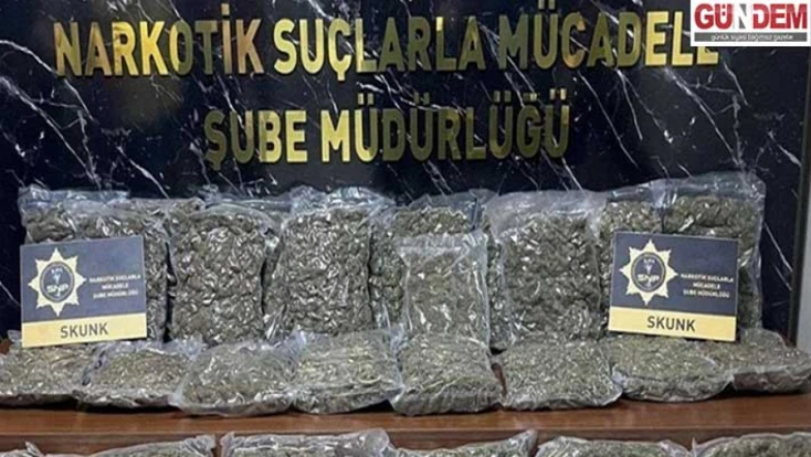 40 kilogram skunk ele geçirildi