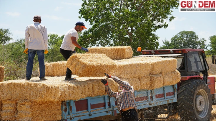 Balya işçileri kavurucu sıcakta mesai yapıyor