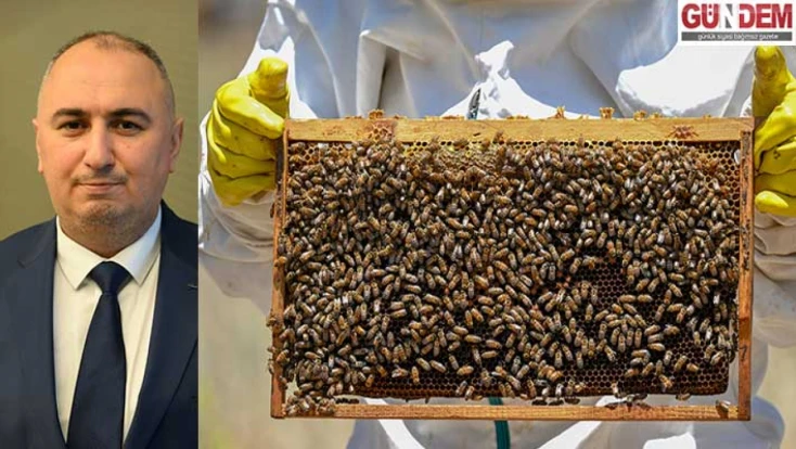 Coğrafi işaret balların niteliğini ve katma değerini arttırıyor