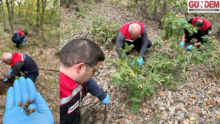 Edirne’de tarım ekiplerinden süneye karşı titiz mücadele