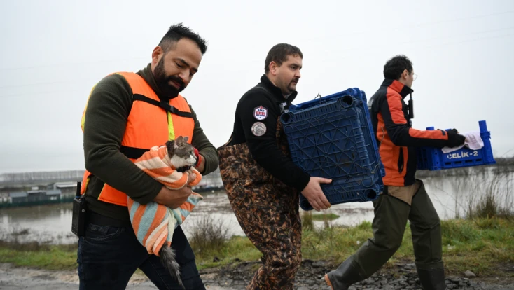 Ekipler, hayvanları sel suyundan kurtardı