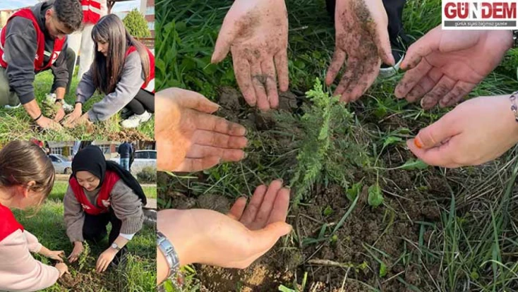 Genç Kızılay’dan etkinlik fidanlar toprakla buluştu