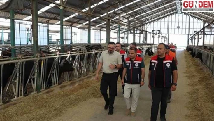 Hayvan sağlığı için yoğun mesai