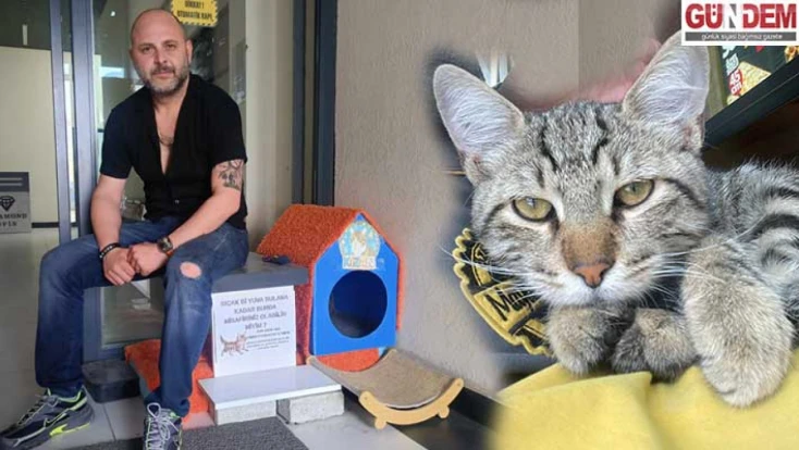 Herkes bir parça getirdi, sokaktaki canlar için kedi evi kuruldu