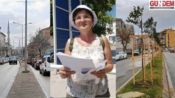 Kocasinan’daki ağaçlandırma gerçeği yansıtmıyor