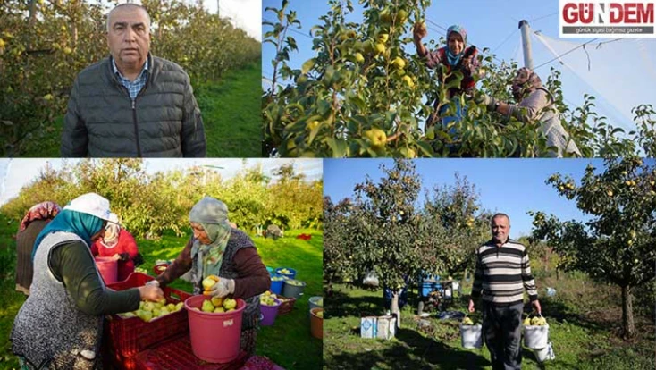 Kuzucu’daki meyve bahçeleri, kent çiftçisine alternatif gelir kaynağı oluyor