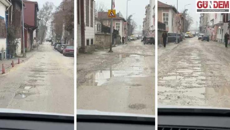 Maarif Caddesi tarlaya döndü