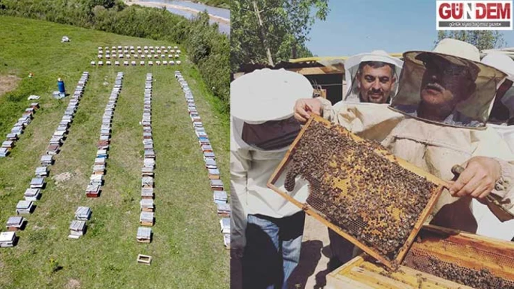 Arı, 'ilkbahar bakımı sezon verimini etkiler'