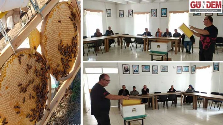 Arıcılık kursunda hedef kaliteli ve güvenli bal