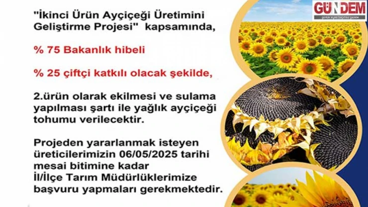 Ayçiçeği üretimine yeni destek