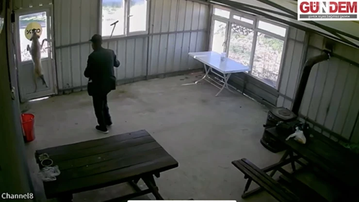 Bastonla köpeği döven şüpheli serbest bırakıldı