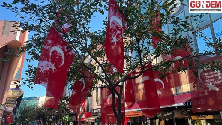 Bayraklı ağaç vatandaşların ilgi odağı oldu