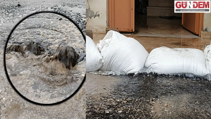 Belediye çözüm bulmayınca, vatandaş önlemini kendi aldı