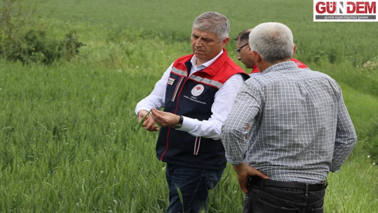 Buğday verimi için çiftçiye süne uyarısı