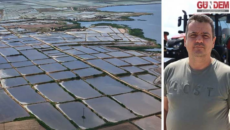 Çeltik ekim alanı 450 bin dekara ulaştı