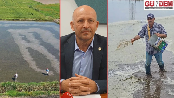 Çeltik ekim mesaisinin sonuna gelindi