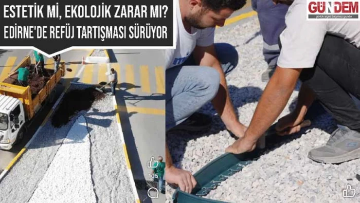 Çevrecilerden belediyeye tepki: 'Edirne taşla değil, yeşille güzelleştirilmeli'