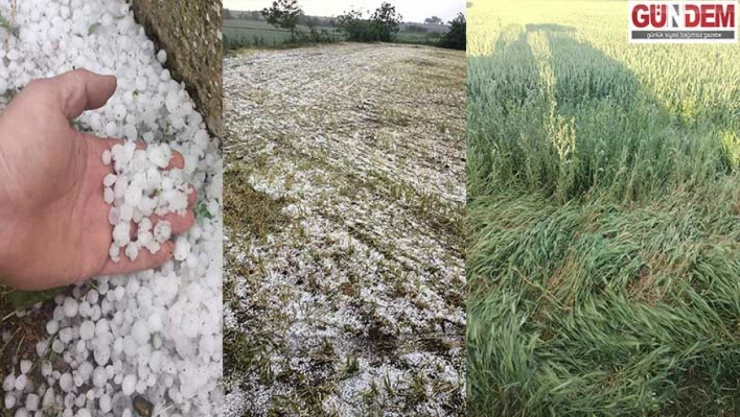 Demirköy'de dolu yağışı tarlaları vurdu