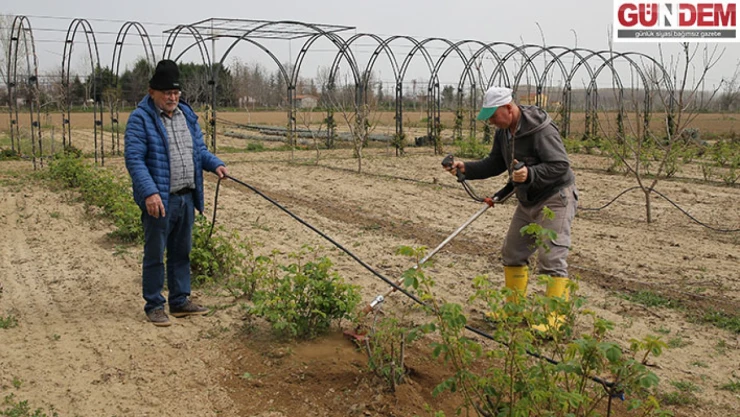Deneme bahçesinde yetiştirilen tıbbi aromatik bitkiler çiftçilere örnek oluyor