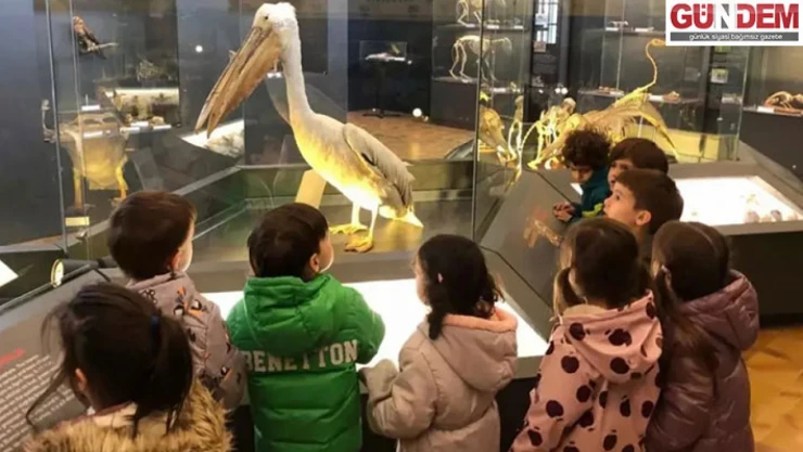 Doğa Tarihi Müzesi'nde görsel anlatımlarla ders de işleniyor