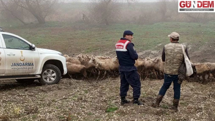 Doğa ve hayvanların korunmasına yönelik çalışmalar sürüyor