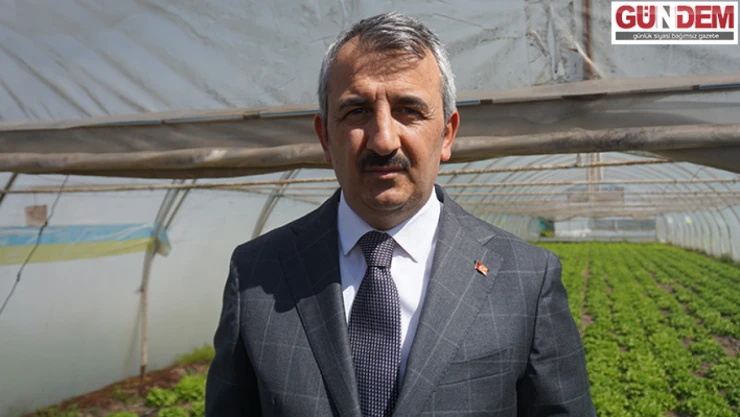 Edirne ayçiçeği üretiminde ilk sıraya yükseldi