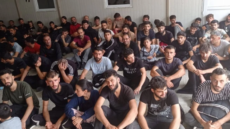 Edirne'de 89 düzensiz göçmen yakalandı