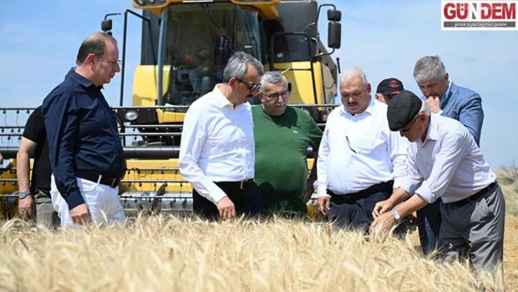 Edirne'de buğday hasadında yüzler gülüyor