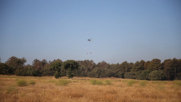 Edirne'de çıkan orman yangını kontrol altına alındı