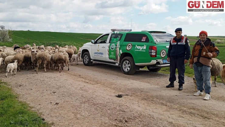 Edirne'de jandarma ekipleri bilinçli çiftçilik eğitimi verdi