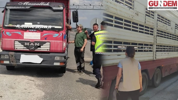 Edirne'de kurbanlık hayvan taşıyan araçlar denetlendi