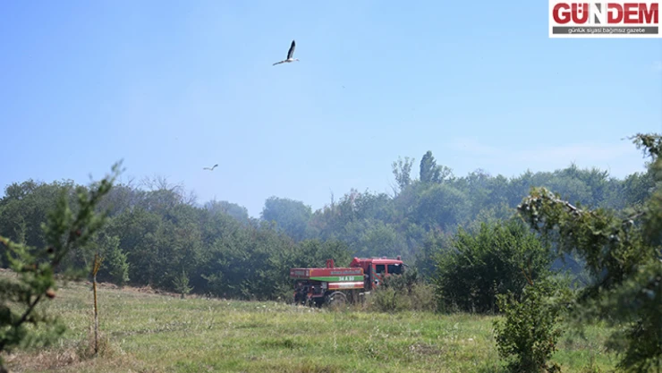 Edirne'de üniversitenin botanik bahçesinde çıkan yangın söndürüldü