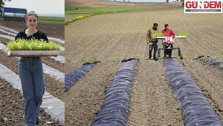 Edirne Kırmızısı Köklerinden doğuyor