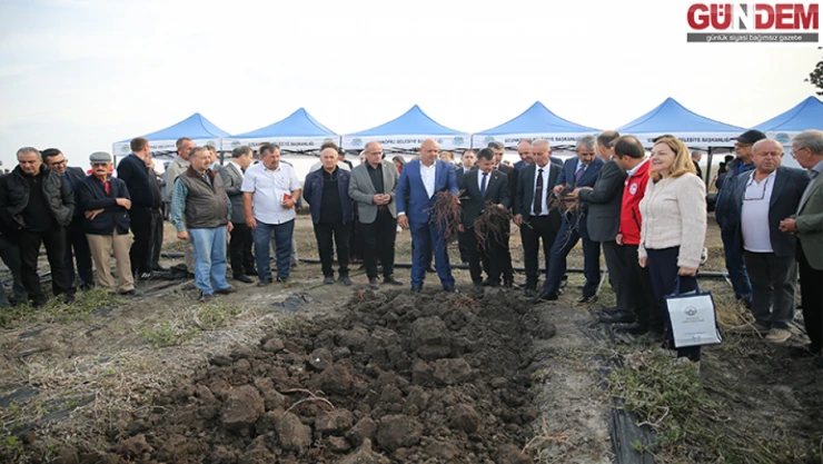Edirne kırmızısı yeniden hayat buldu