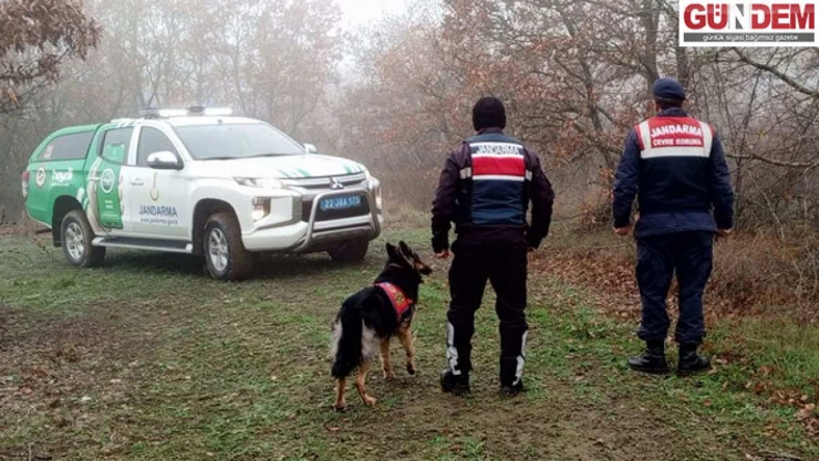 Ekiplerden avcılara yönelik denetim