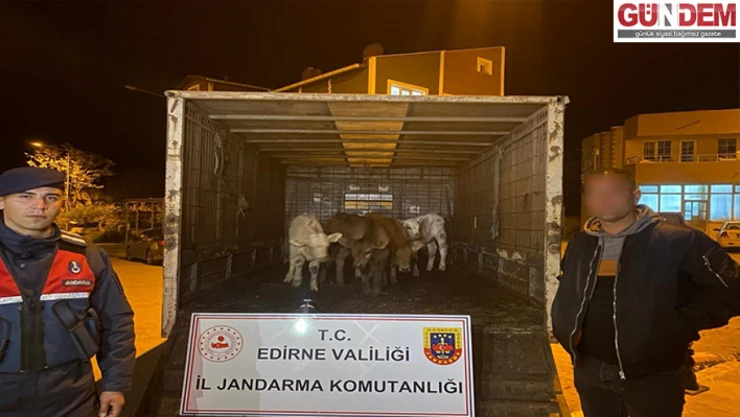 Enez'de hayvan hırsızlığına JASAT darbesi